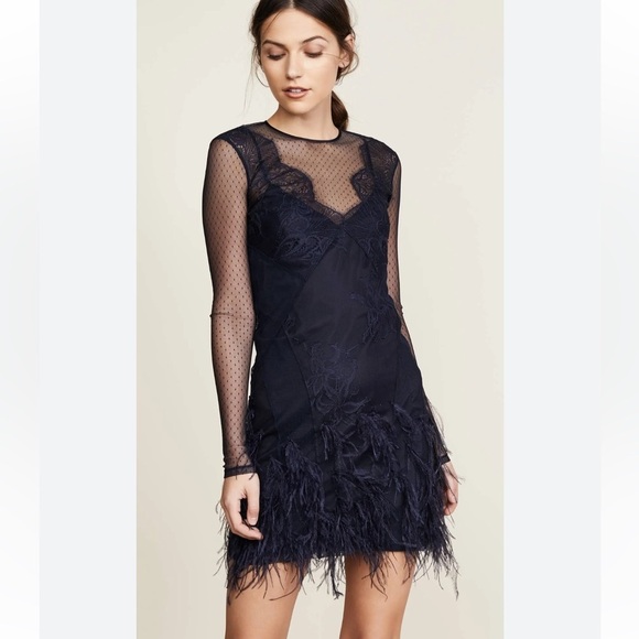 Cinq A Sept Amabella Embroidered Cocktail Dress Ditsy Mesh Feathered Hem size 4 - Picture 5 of 9